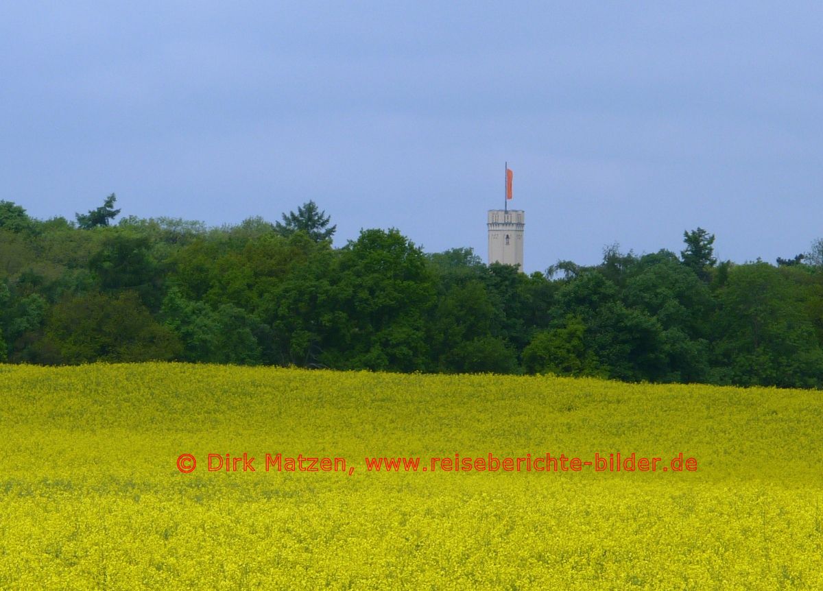 Reichenow, Schlossturm im Frhling