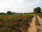 Menorca, wanderweg