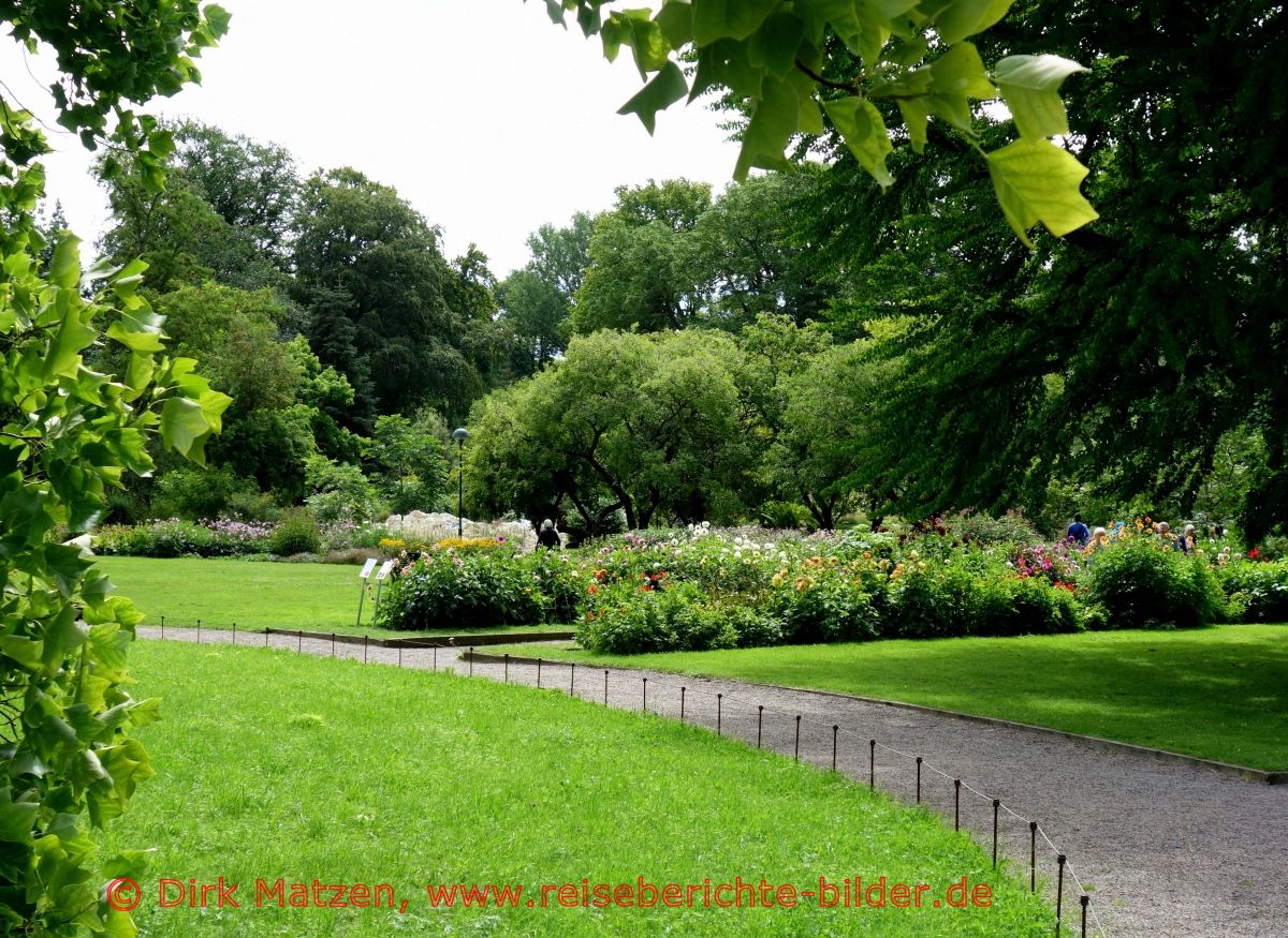 Lund, Botanischer Garten