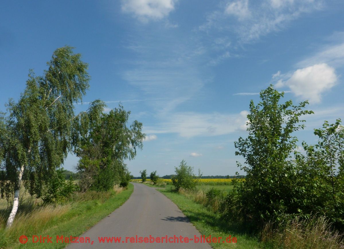 Oderbruchbahn-Radweg, Radweg hinter Golzow