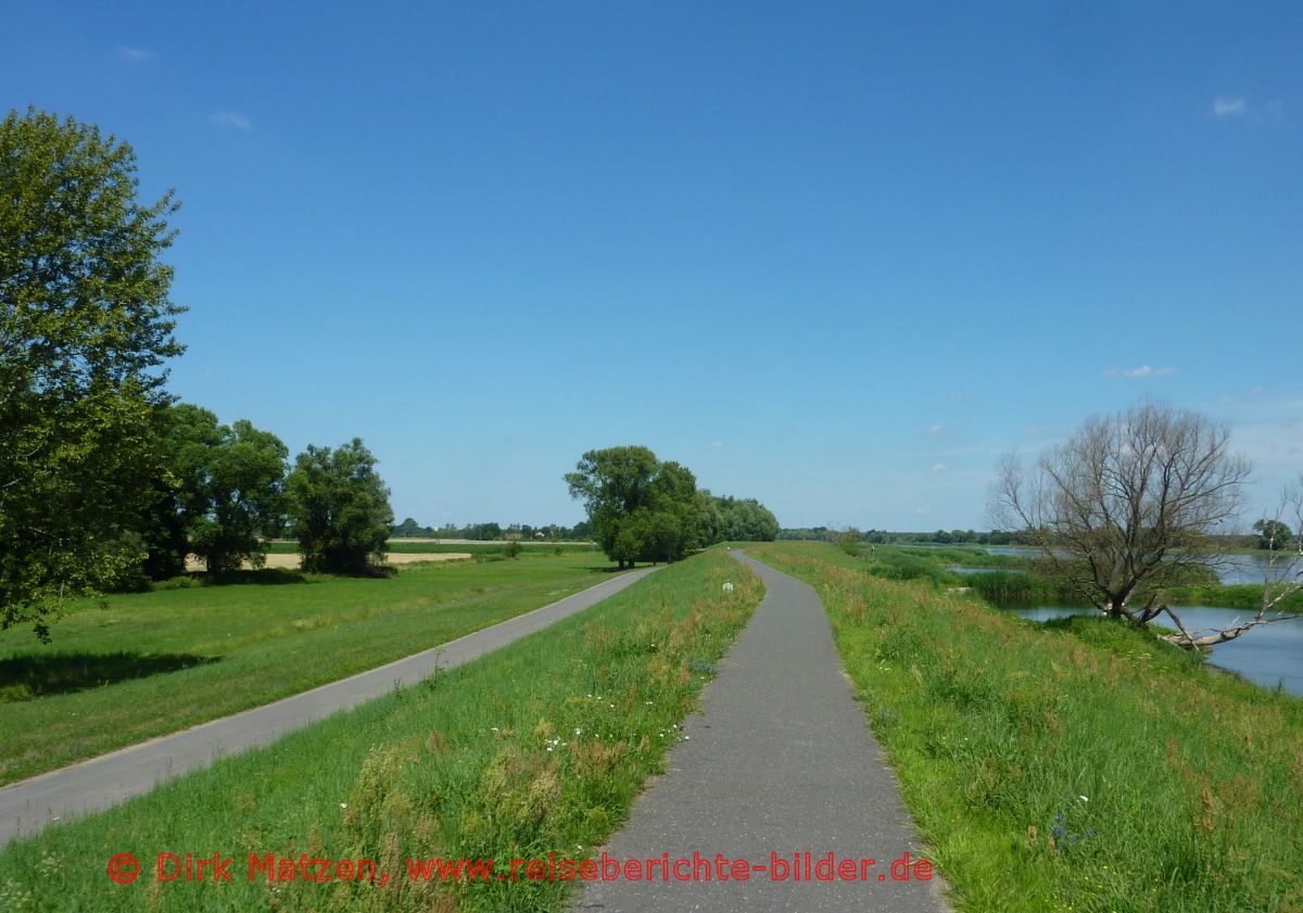 Oderbruchbahn-Radweg, Radweg an der Oder