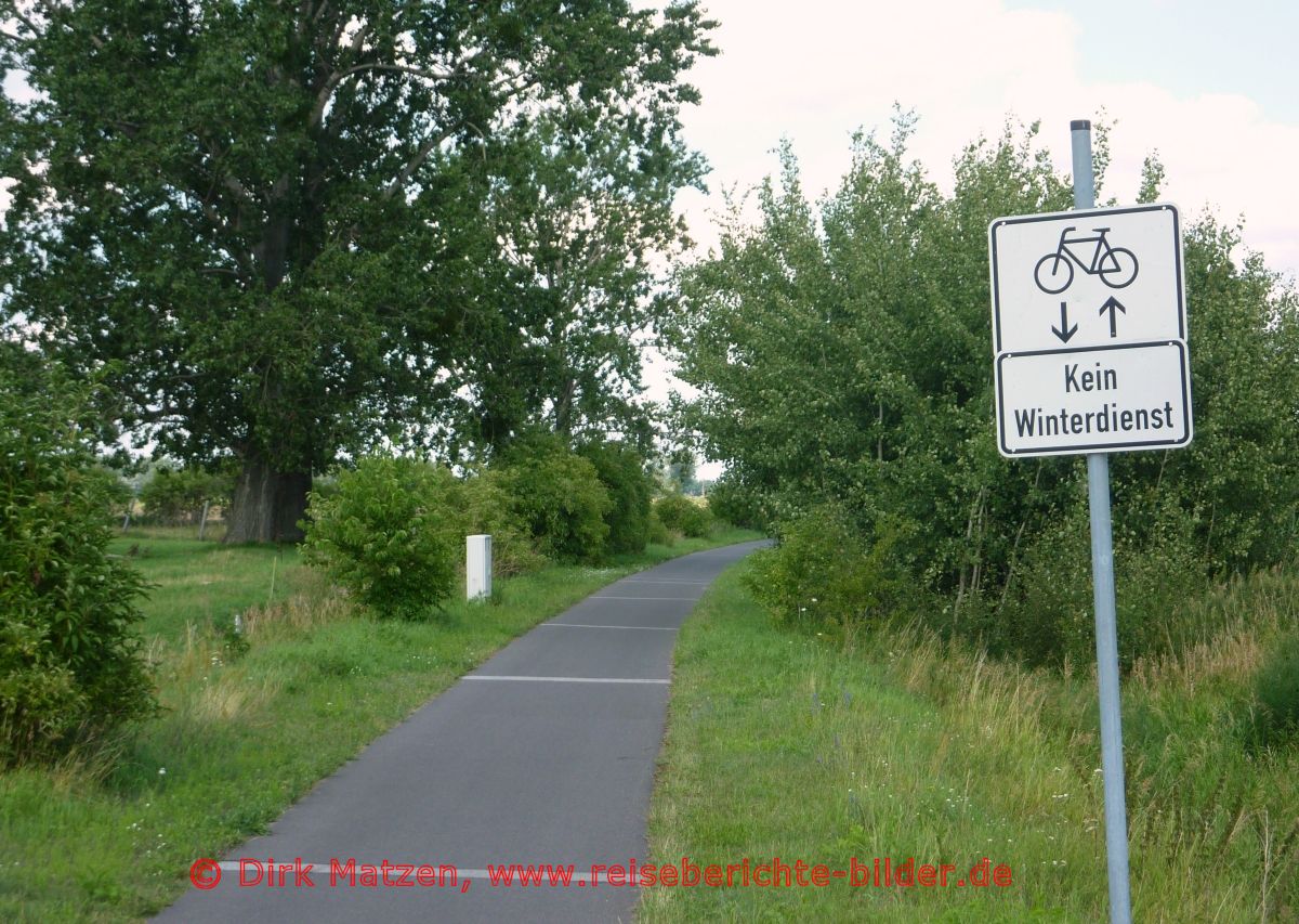 Oderbruchbahn-Radweg, Radweg kurz vor Wriezen