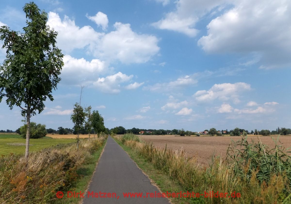 Oderbruchbahn-Radweg, Radweg bei Neumdewitz