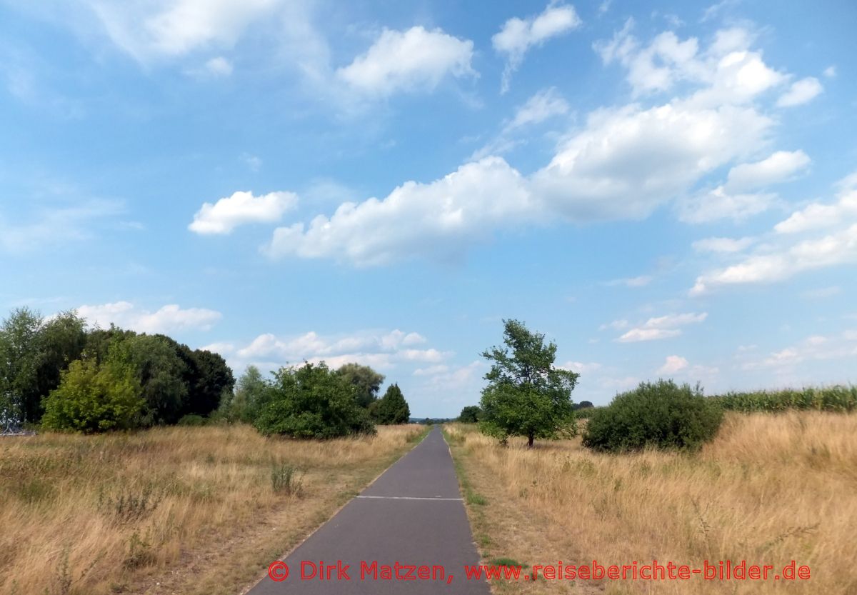 Oderbruchbahn-Radweg, Radweg Oderbruch