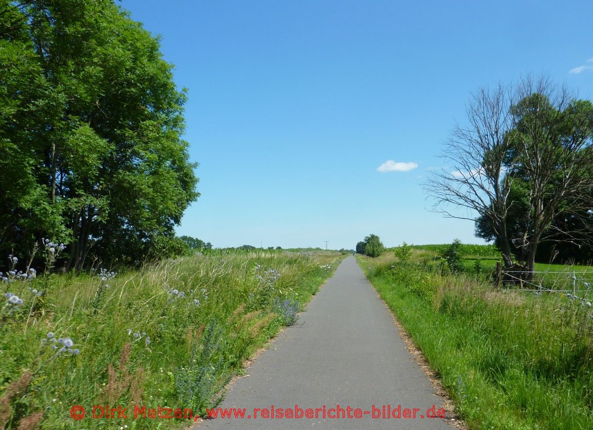 Oderbruchbahn-Radweg, Radstrecke Wriezen-Bienenwerder