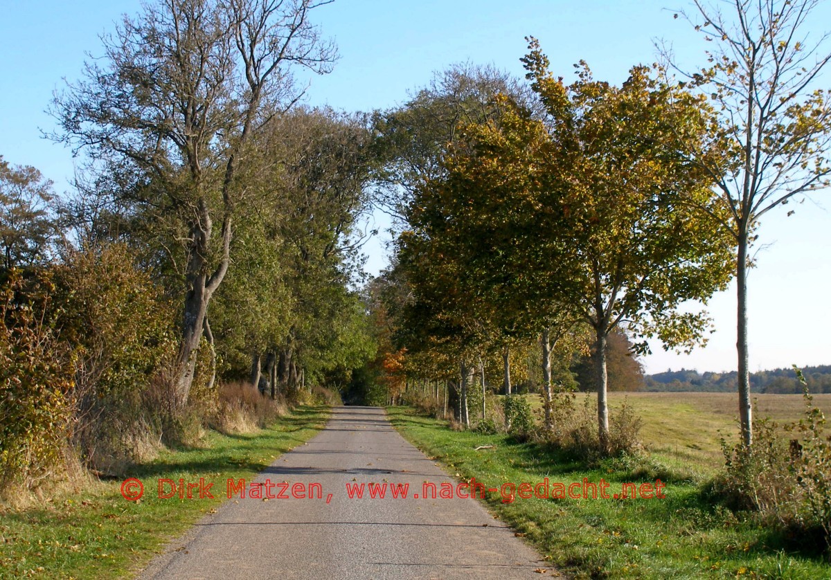 Grenzroute, Weg bei der dnischen Ortschaft Holbl