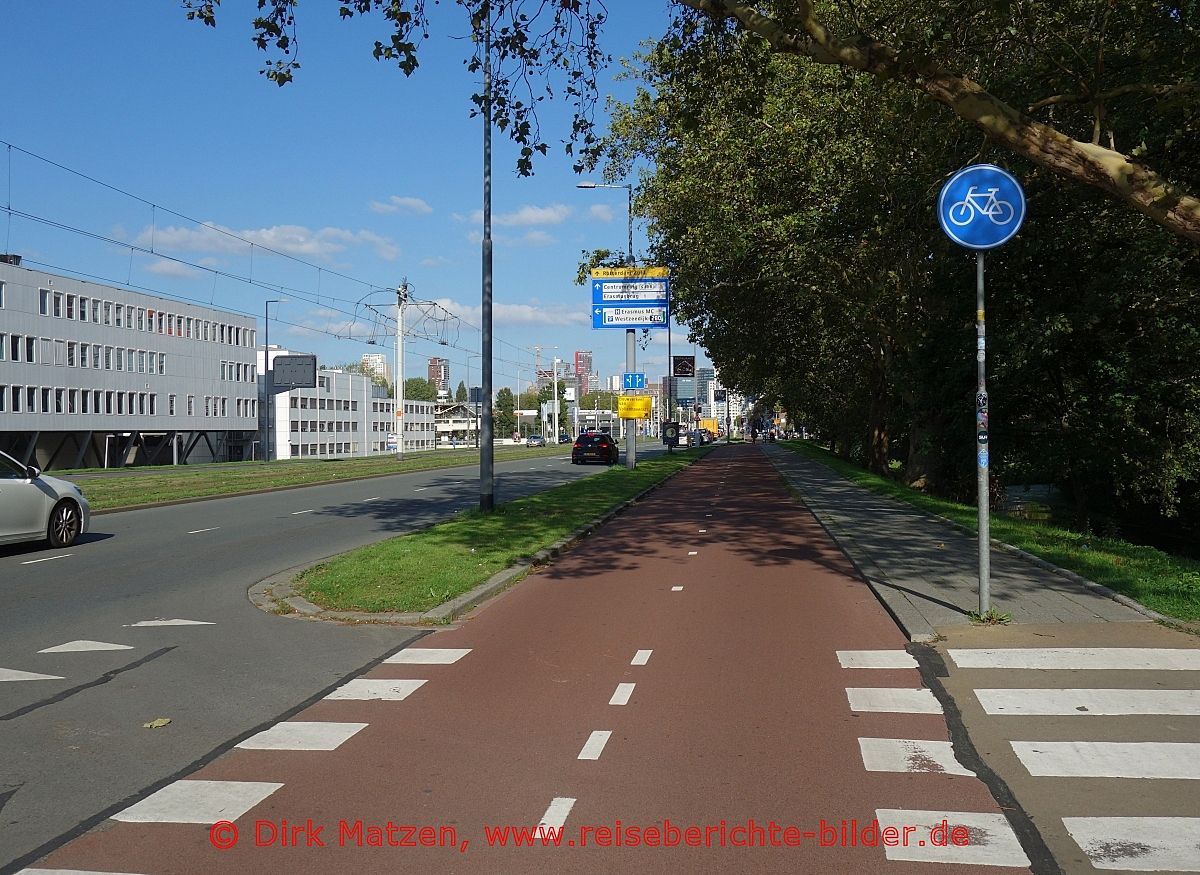Rotterdam, typischer Radweg