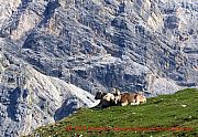 wanderung-suedtirol-pragser-tal-031