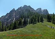 wanderung-suedtirol-pragser-tal-058